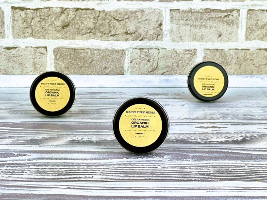 THE ARTISAN'S LIP BALM 25 GR